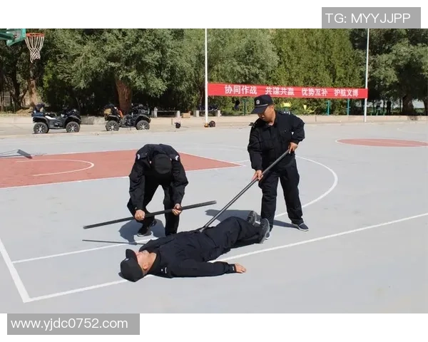 上海滑板队战术创新引领潮流实现历史新高的精彩表现