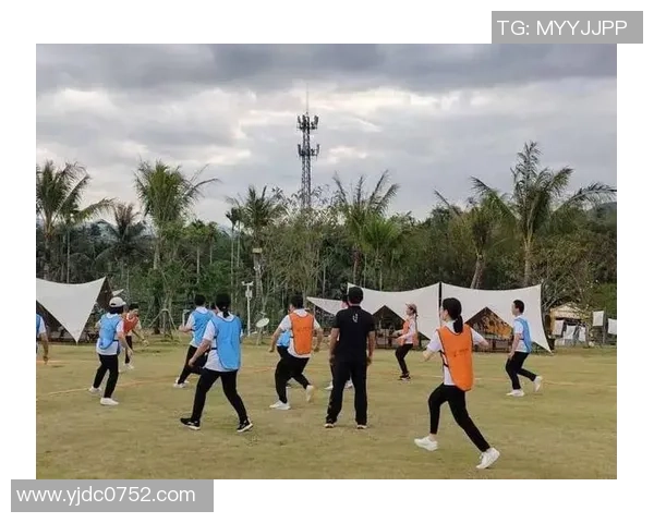 武汉飞盘队战术解析与实战经验分享助力团队提升竞技水平