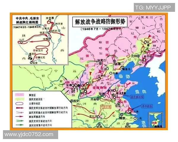 杭州排球队防守策略解析：从技术到战术的全面解读