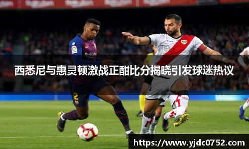 西悉尼与惠灵顿激战正酣比分揭晓引发球迷热议